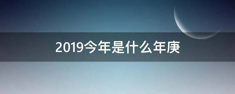 2019今年是什么年庚