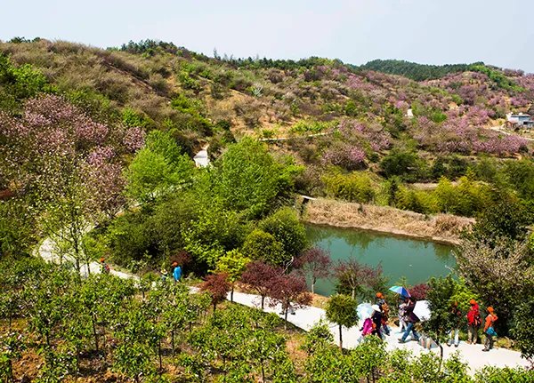 新昌镇的自然资源