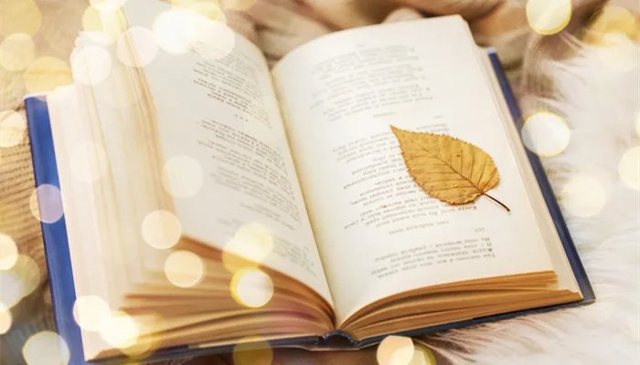 印花税属于什么税种 印花税是属于什么税种