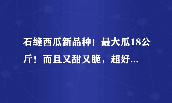 石缝西瓜新品种！最大瓜18公斤！而且又甜又脆，超好吃，农户容易种