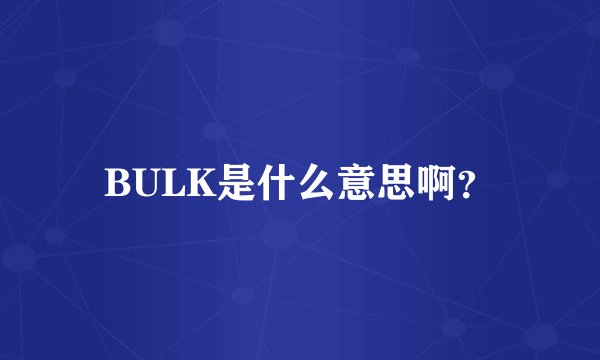 BULK是什么意思啊？