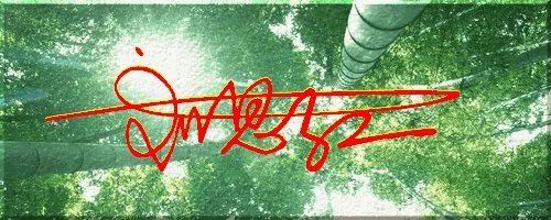 刘思红姓名个性签名设计