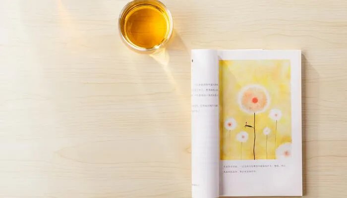 无独有偶的偶的意思