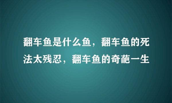 翻车鱼是什么鱼，翻车鱼的死法太残忍，翻车鱼的奇葩一生