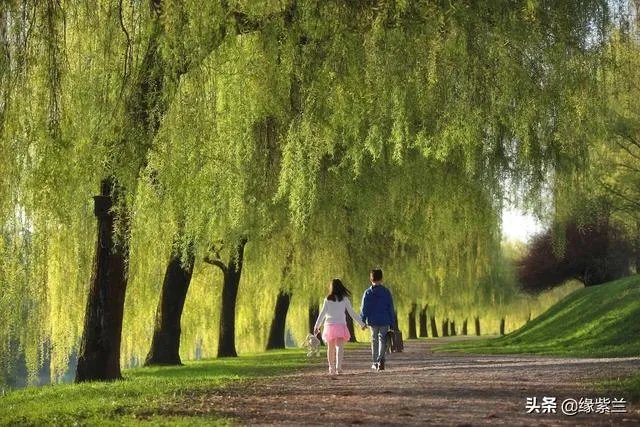 济南CBD的公寓有投资前景吗?