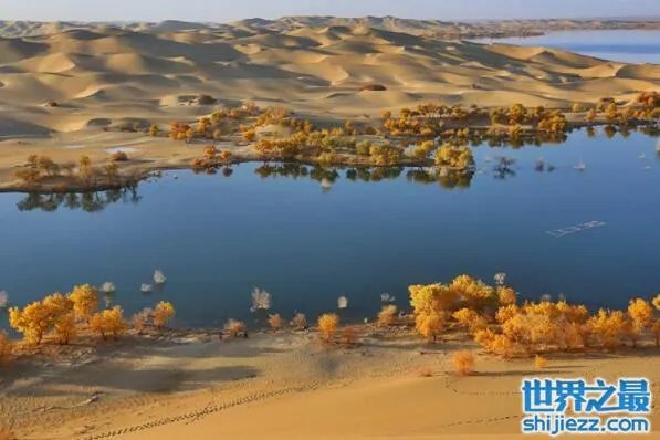 世界最长的十条内流河，伏尔加河排名世界第一 