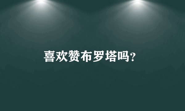 喜欢赞布罗塔吗？