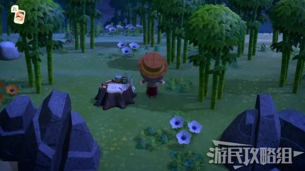 《动物森友会》素材岛种类及可获取材料一览