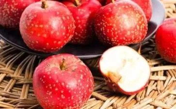 山楂树之恋台词