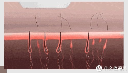 脱毛贴怎么使用