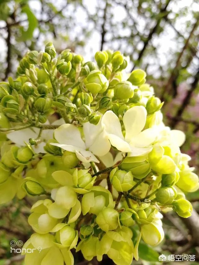 世界上生育率最低的国家韩国,人们平均年薪上百万,为何不愿生孩子?