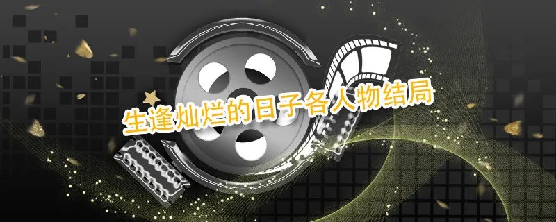 生逢灿烂的日子各人物结局