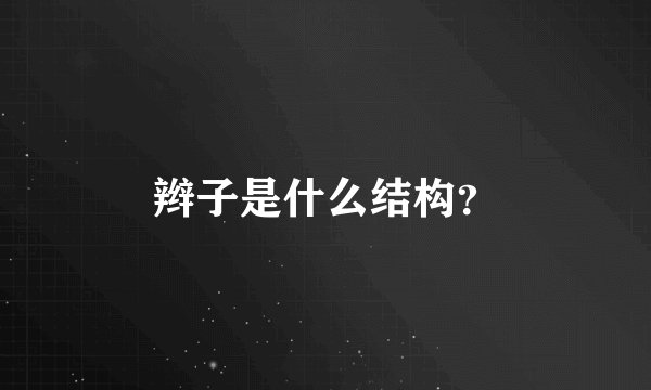 辫子是什么结构？