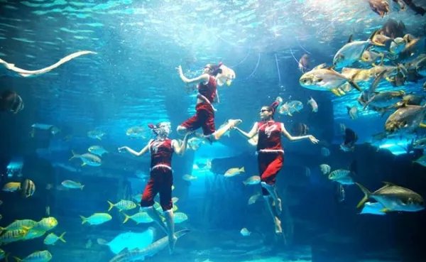 齐河海洋极地世界和海底世界是一个地方吗