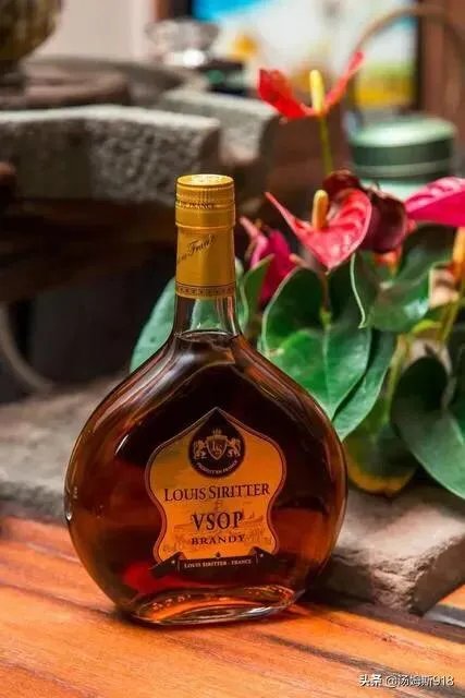 有哪些性价比高的白兰地推荐？