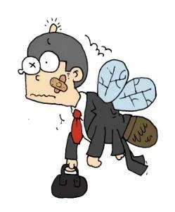 苍蝇人的第二部