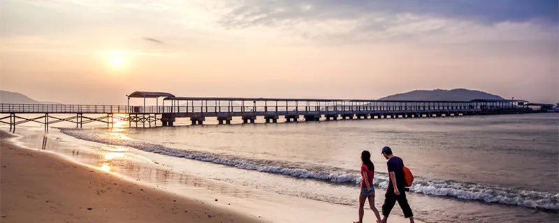 塑料爱情是什么意思 塑料爱情什么意思