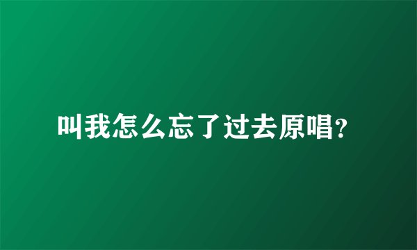 叫我怎么忘了过去原唱？