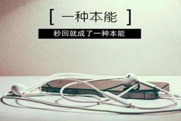 一什么本能填量词