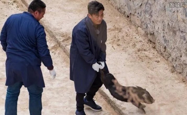 王宝强下乡抓猪 做公益之余竟狂赚2个亿？