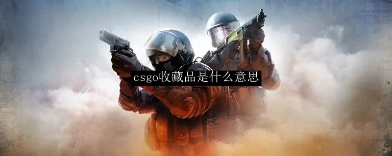csgo收藏品是什么意思