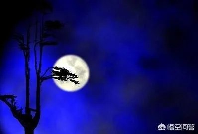 立秋写一首小诗