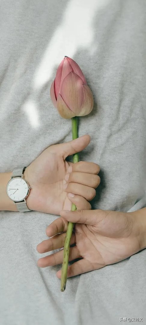 女明星吃饭都带称吗?