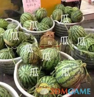 824页大瓜pdf资源分享