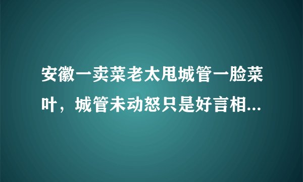 安徽一卖菜老太甩城管一脸菜叶，城管未动怒只是好言相劝，你怎么看？