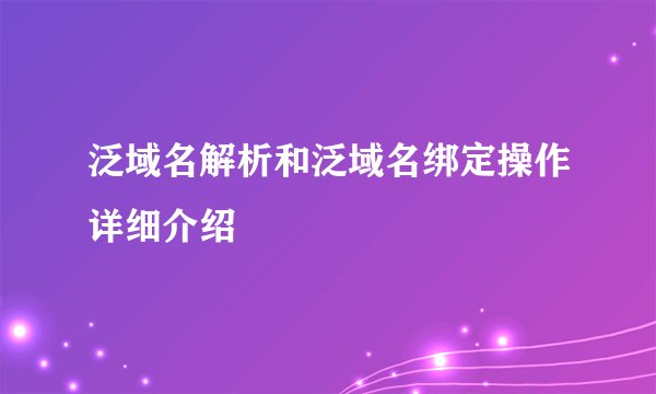 泛域名解析和泛域名绑定操作详细介绍