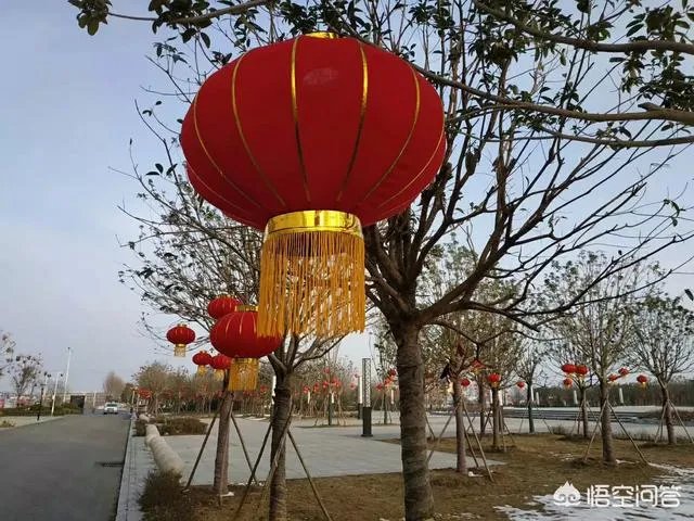 2019年央视春晚你最喜欢哪个节目？