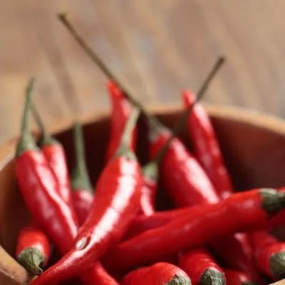 什么是偏执型精神病