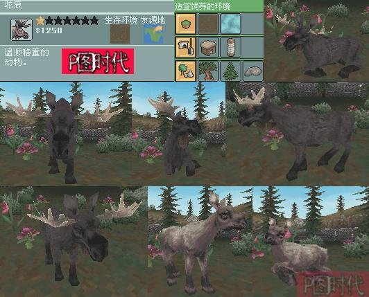 图文攻略 动物园大亨2