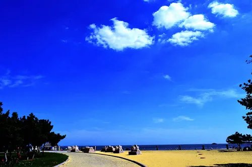 威海房价走势图 2017年威海楼市走向预测