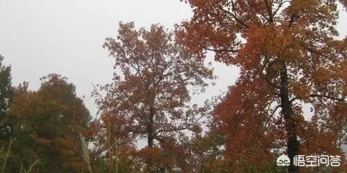 宁德有哪些旅游景点？