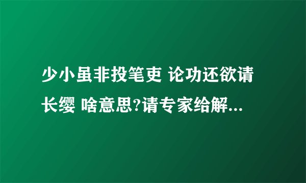 少小虽非投笔吏 论功还欲请长缨 啥意思?请专家给解释一下?