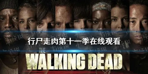 行尸走肉第十一季在线观看 行尸走肉第十一季免费观看