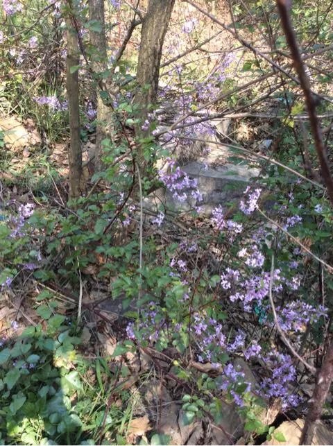 荆门有什么出名