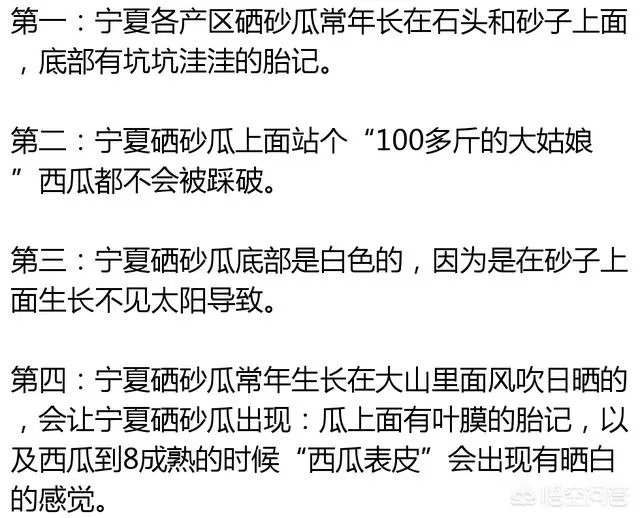 石头瓜是什么瓜?如何种植石头瓜?