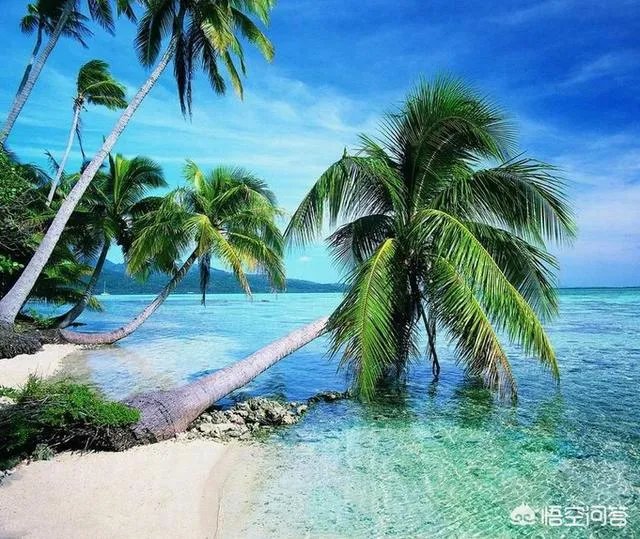 三亚宰客严重吗