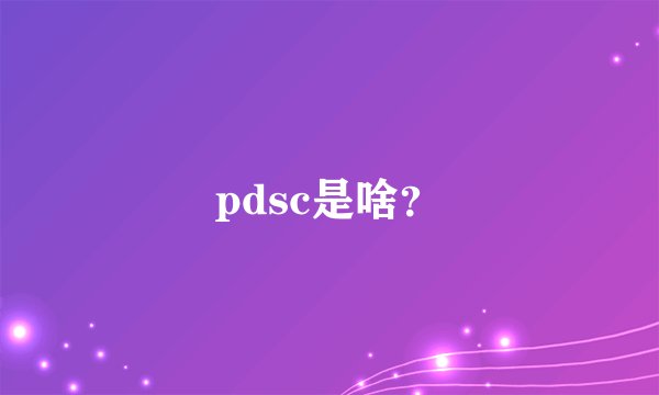 pdsc是啥？