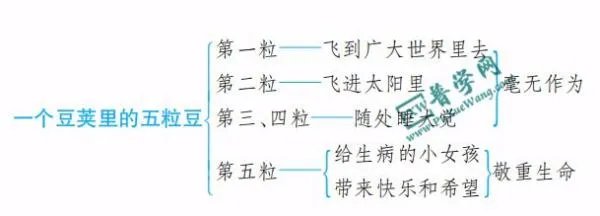 一个豆荚里的五粒豆思维导图怎么画