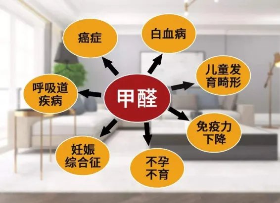 自己如何检测甲醛超标