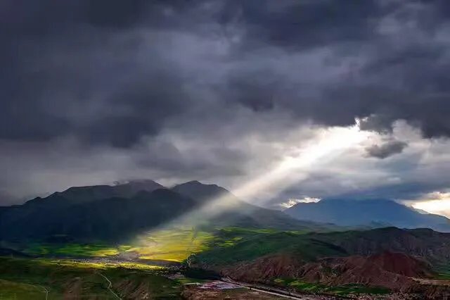 青海门源你去过吗？