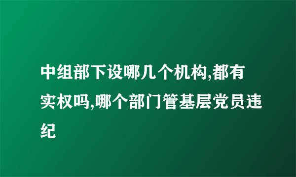 中组部下设哪几个机构,都有实权吗,哪个部门管基层党员违纪