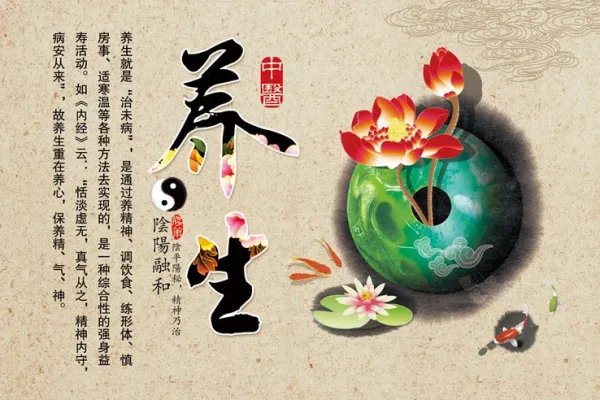 中医养生馆加盟哪家好