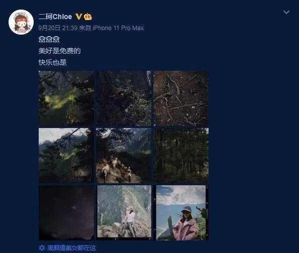 周二珂宣布已经分手，那么她会回去开播吗？