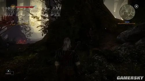 《巫师2：刺客之王》详细图文流程攻略