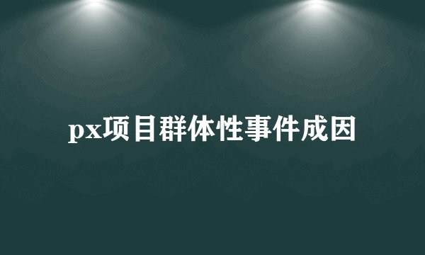 px项目群体性事件成因