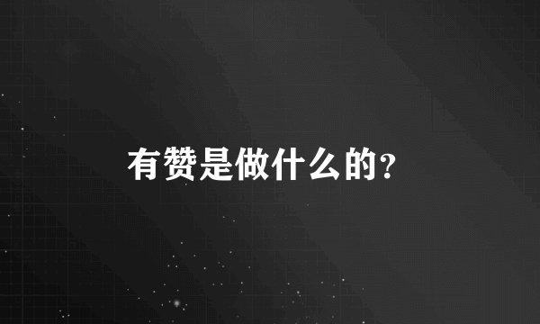 有赞是做什么的？